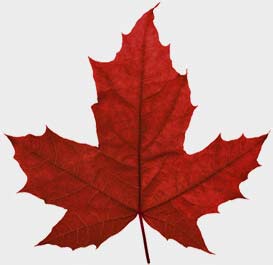 Apply for a Canadian Study Permit with Form IMM 1294 Apply for a Canadian Study Permit with Form IMM 1294